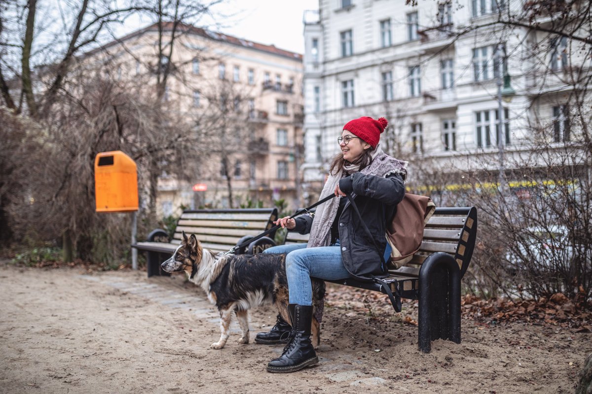 ősz park város kutyasétáltatás