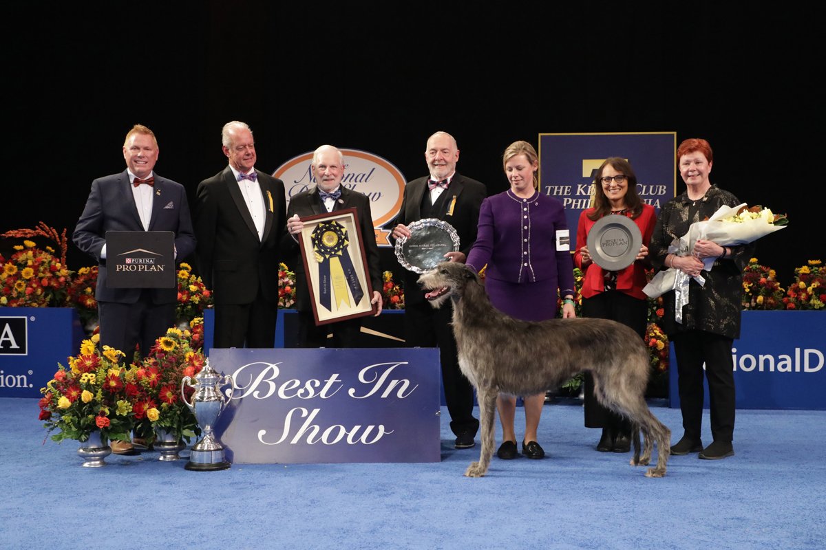 The National Dog Show claire