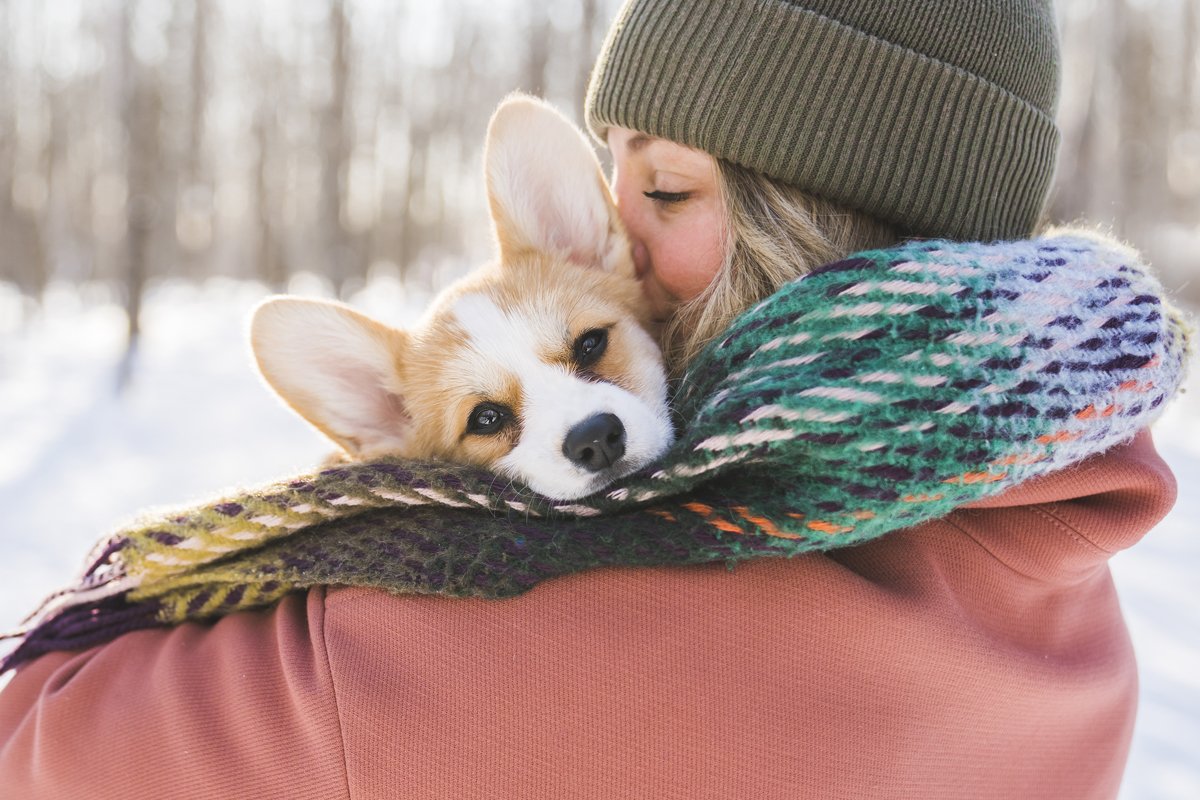 corgi kölyökkutya hó tél szeretet ölel boldog