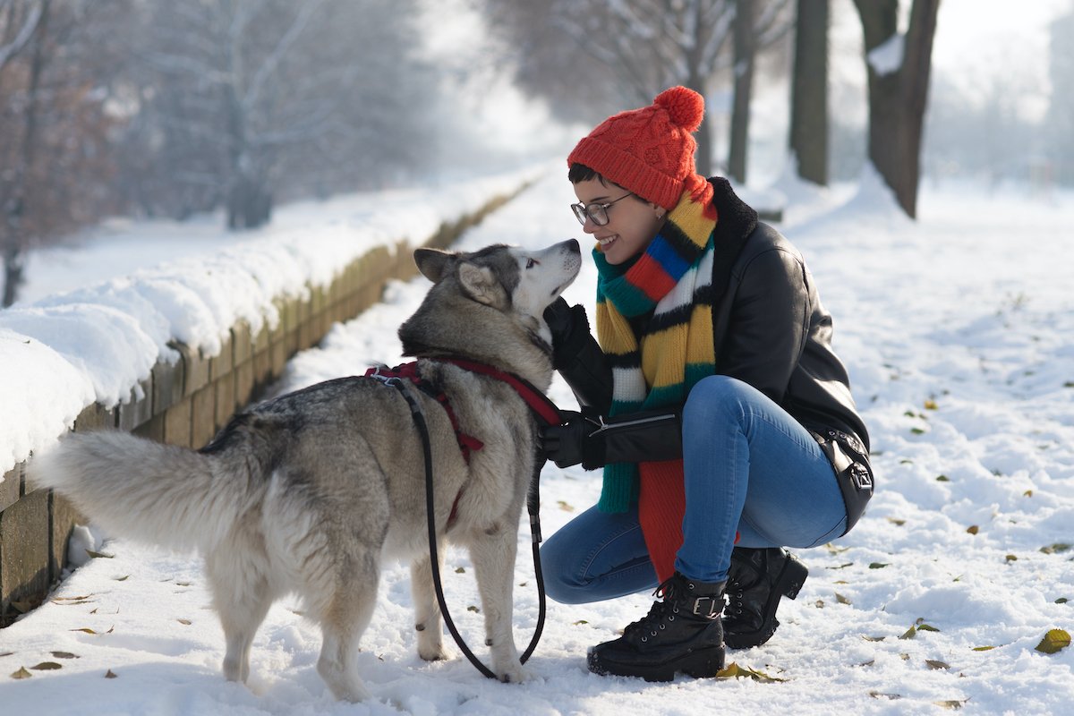 Young woman walking Siberian husky dog in winter