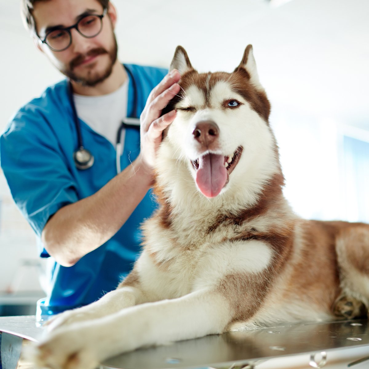 Fluffy patient
