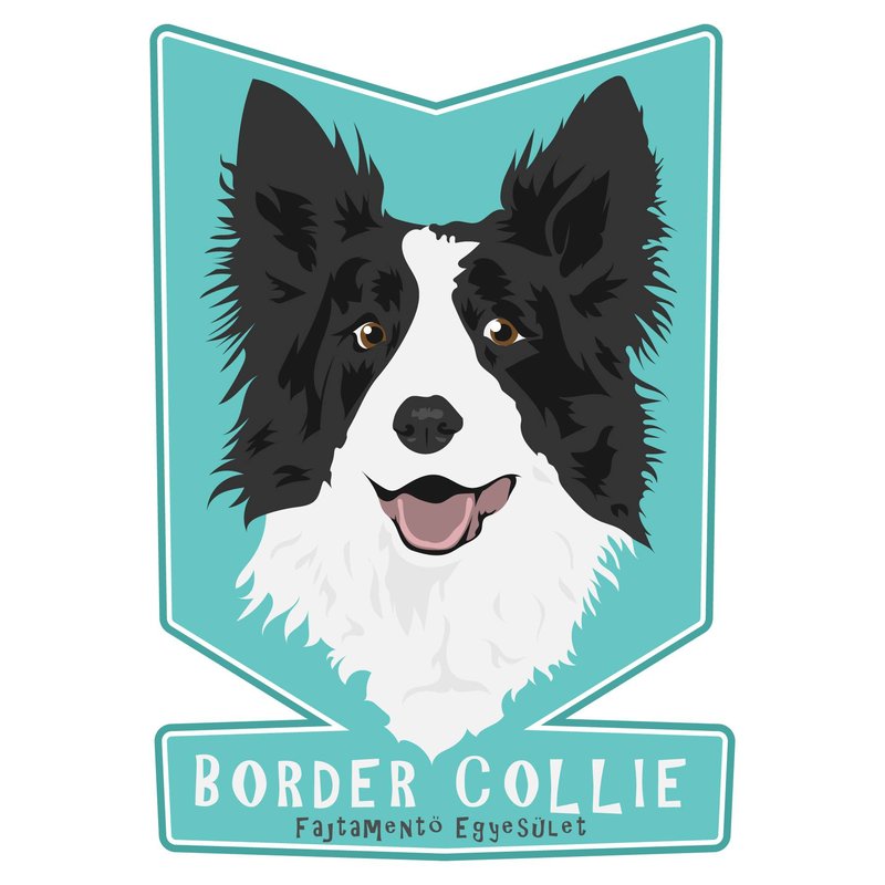 border collie fajtamentes