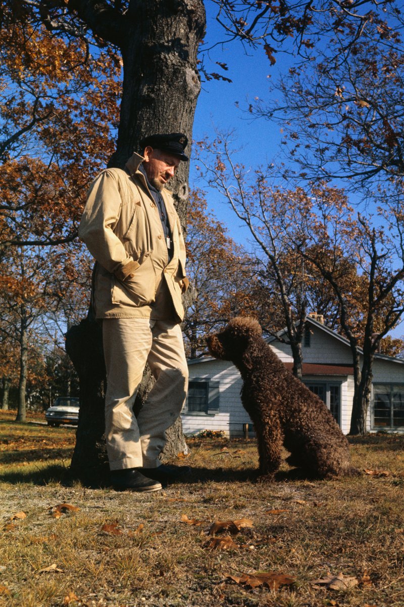 John Steinbeck Charley uszkár