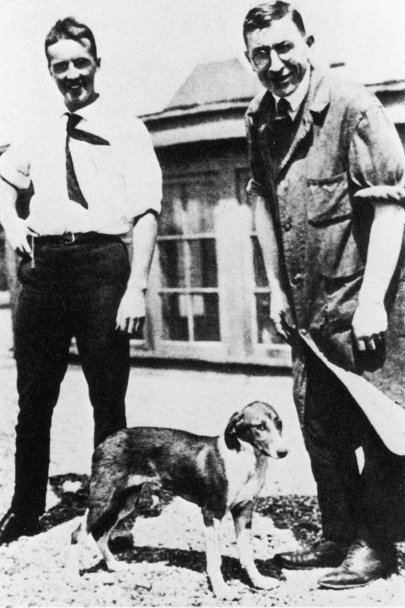 kutya Frederick Banting és Charles Best