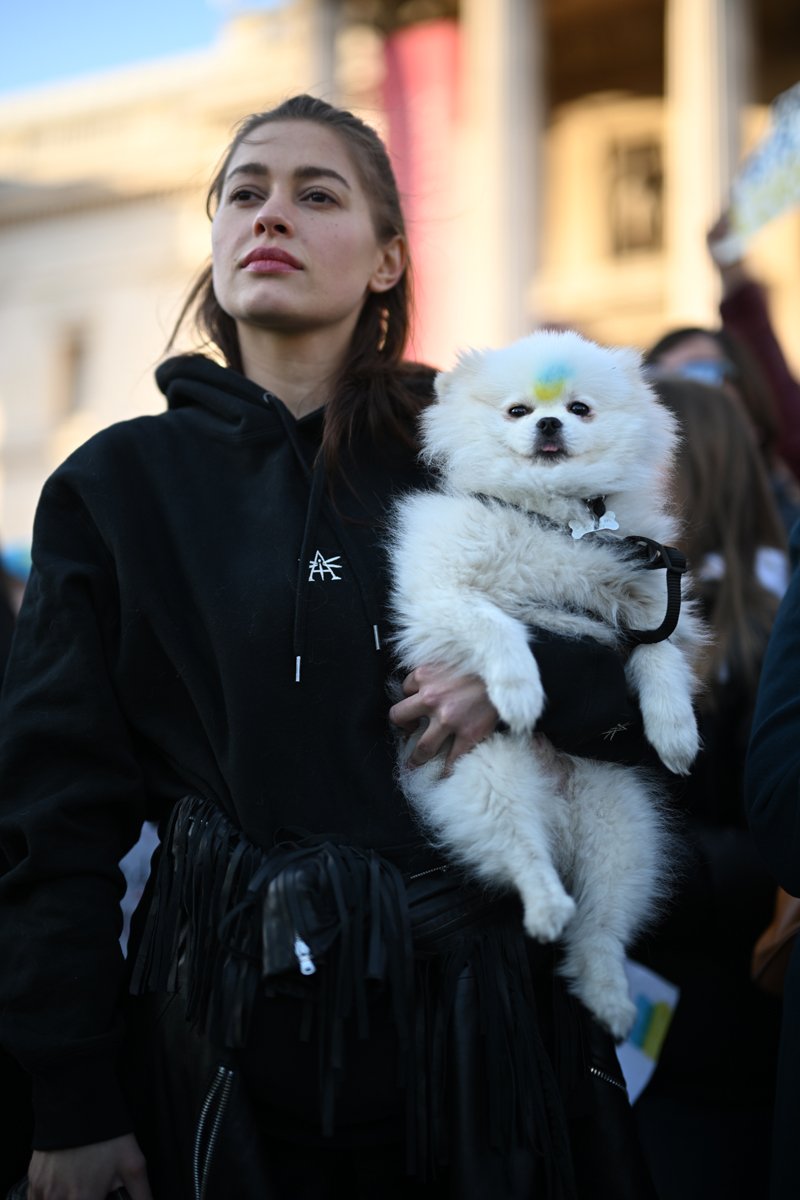 tüntető ukrán zászló háború kutya