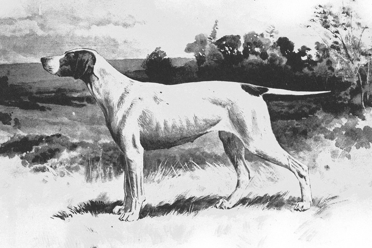angol pointer ábrázolás