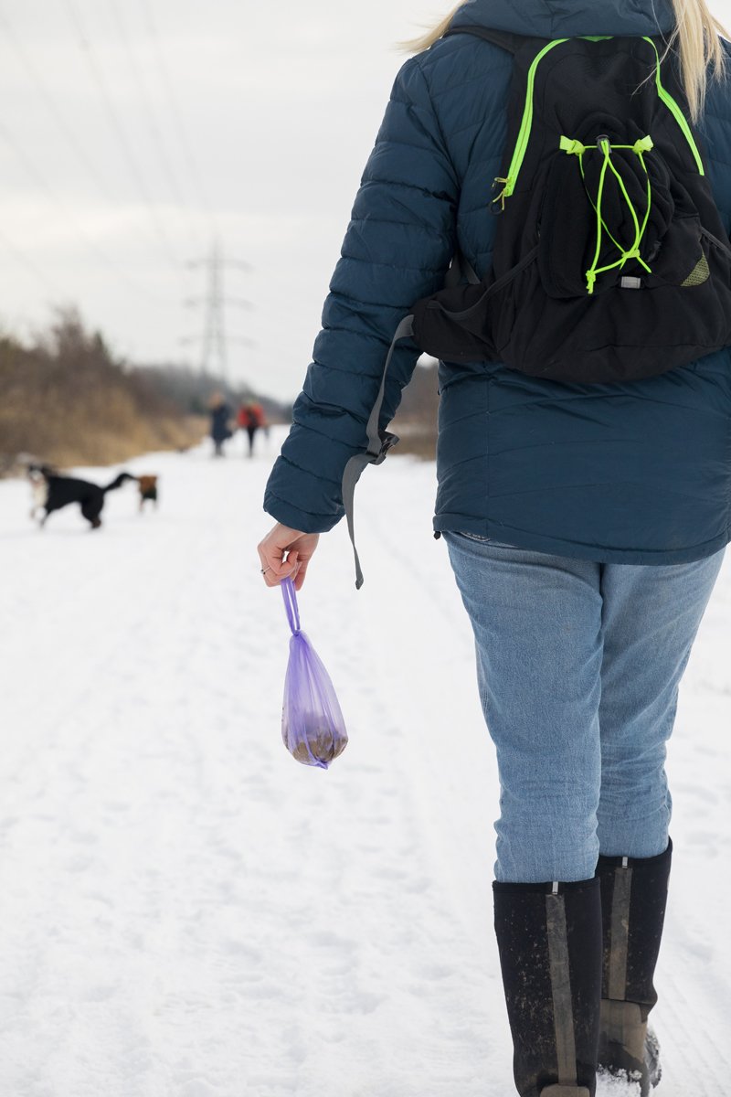 tél hó kutyakaki ürülék zacskó felszed