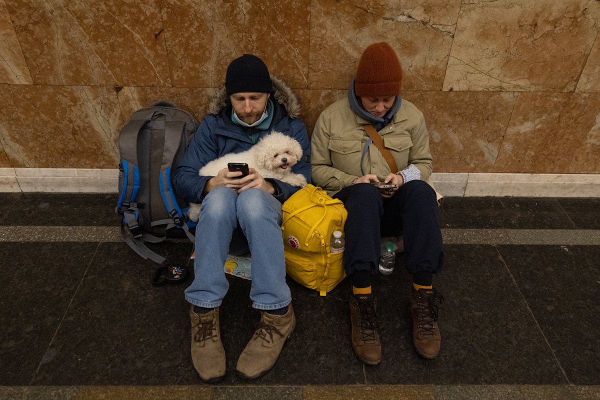 ukrán háború metró kutya