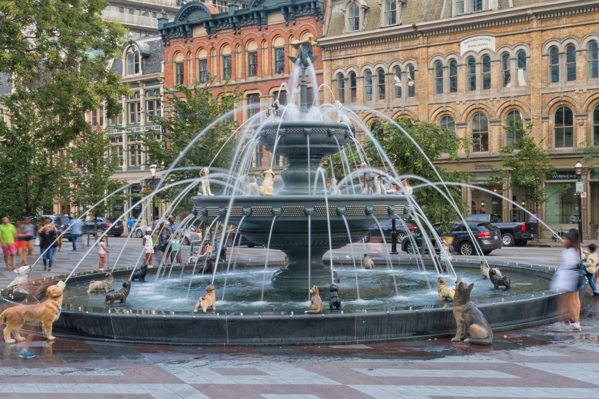 toronto kutyás szökőkút