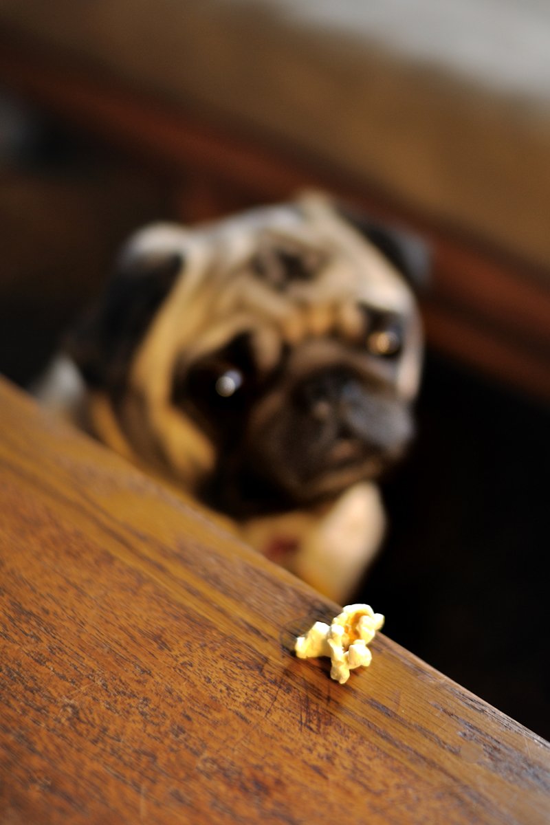 popcorn pattogatott kukorica mopsz
