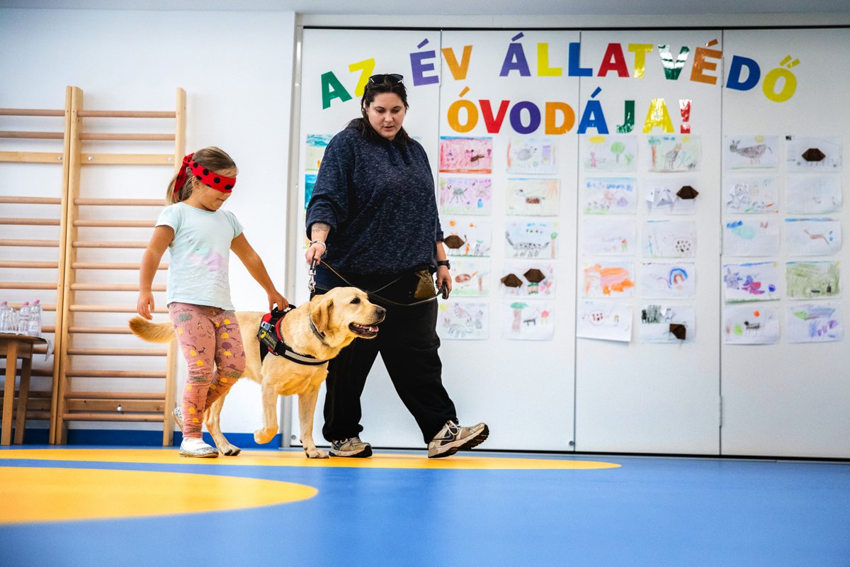 év állatvédő óvodája