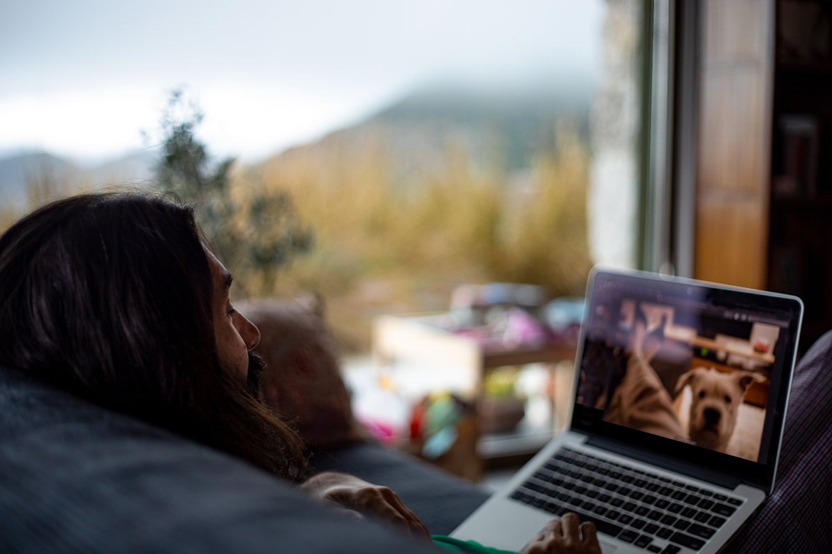 laptop videochat kutyával