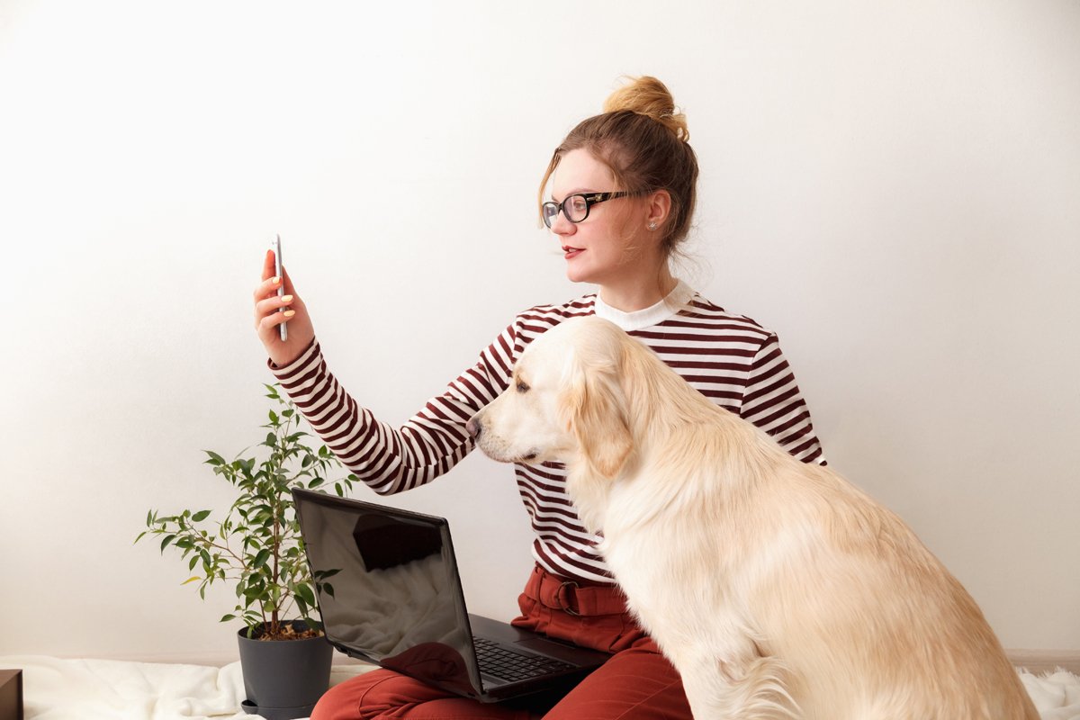 golden retriever telefon laptop videochat