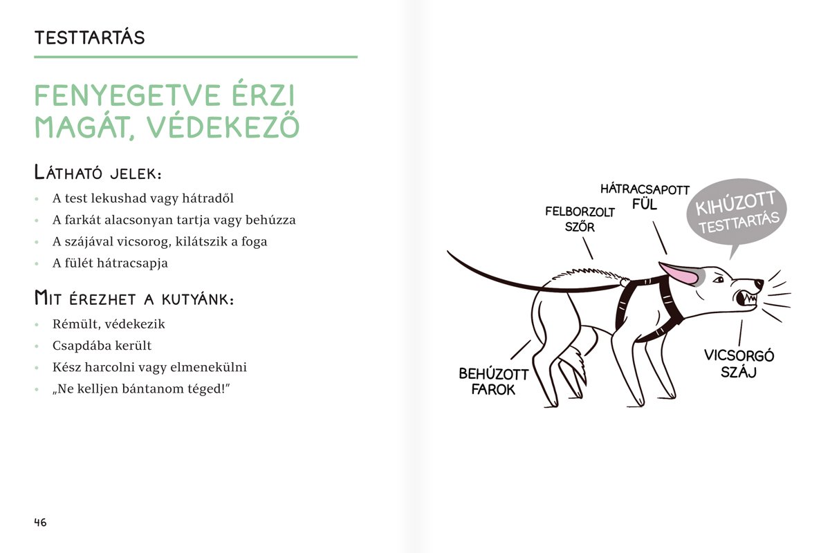 Lingea_Kutyanyelv_mintaoldalak-2