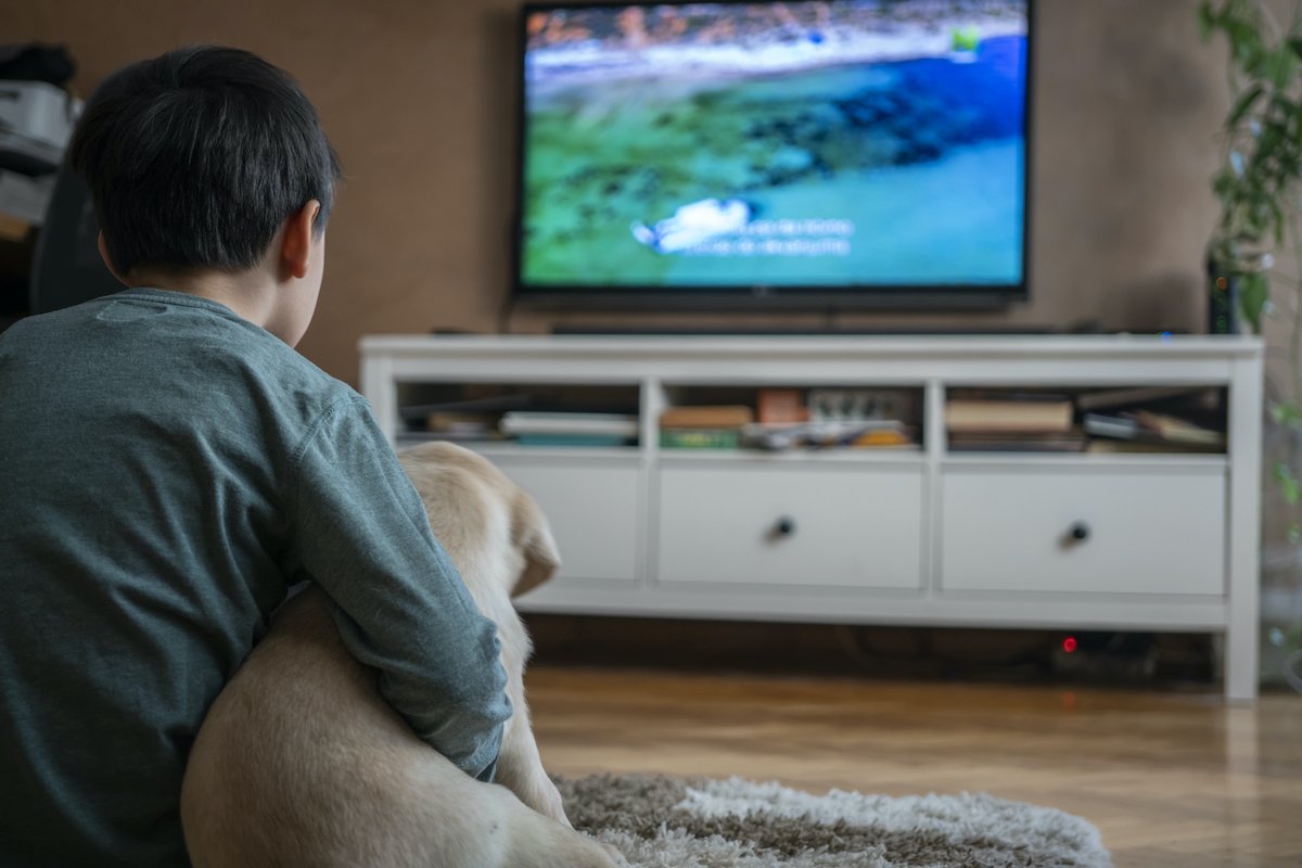 tv