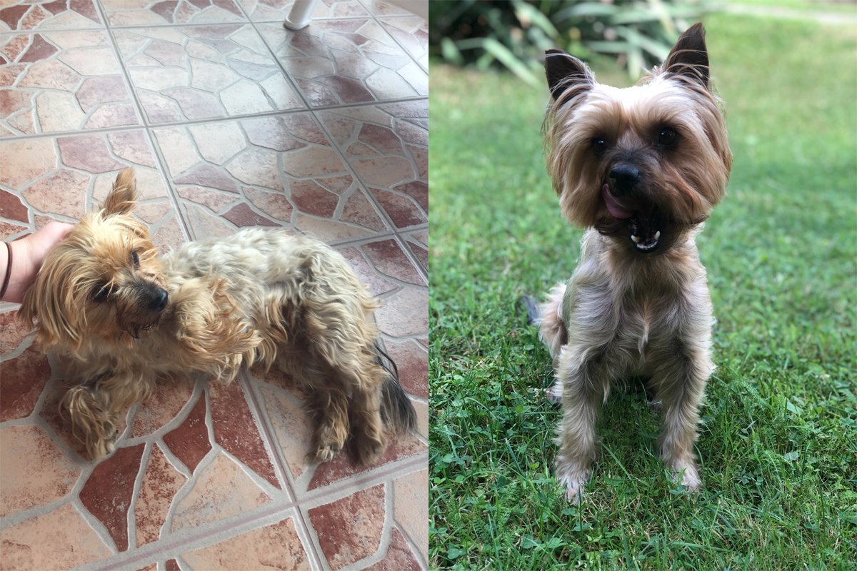 lola