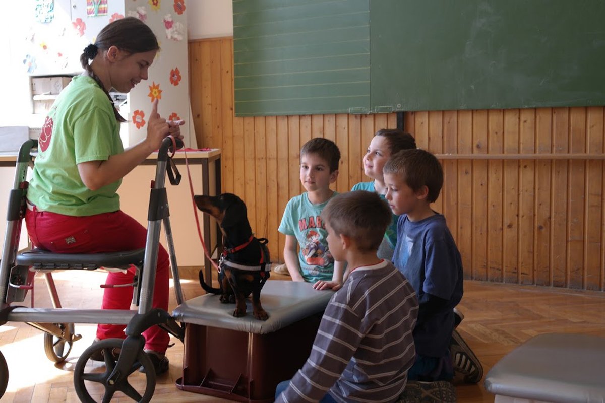 kutyával egy mosolyért segítőkutya tacskó