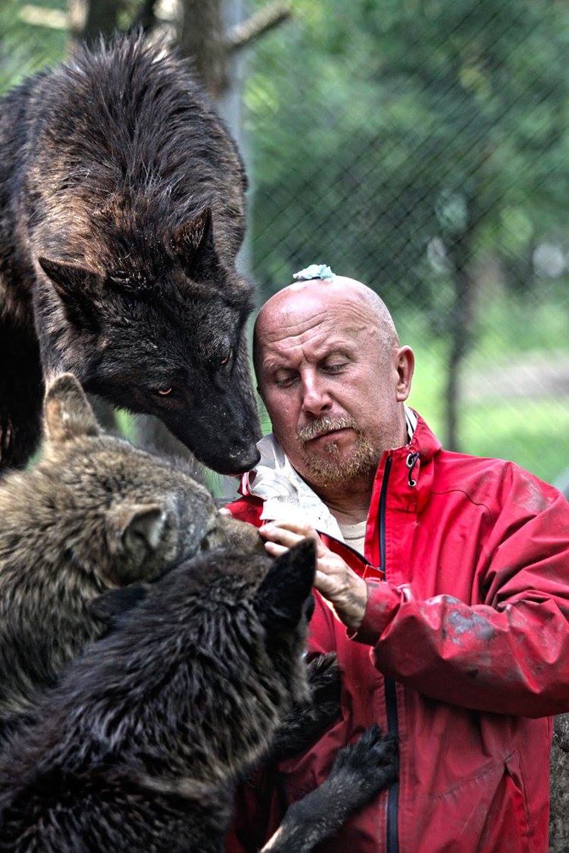 wolfpista