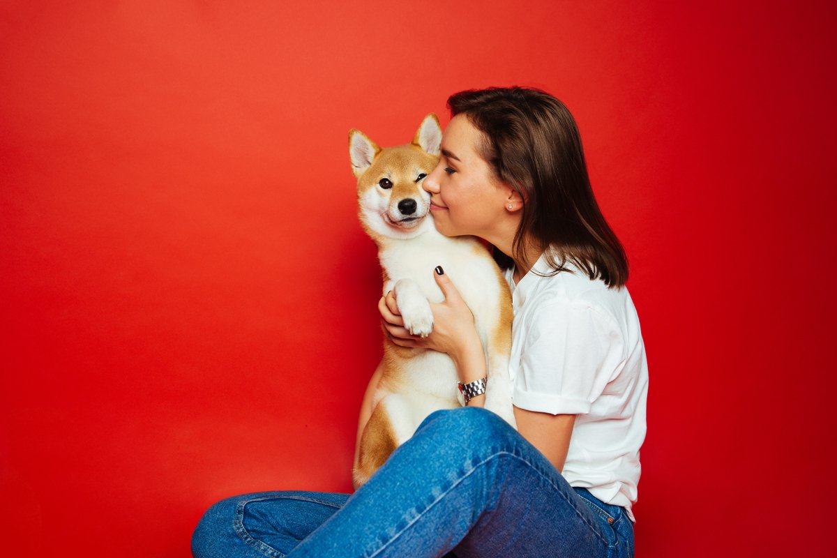 szeretet ölel shiba inu