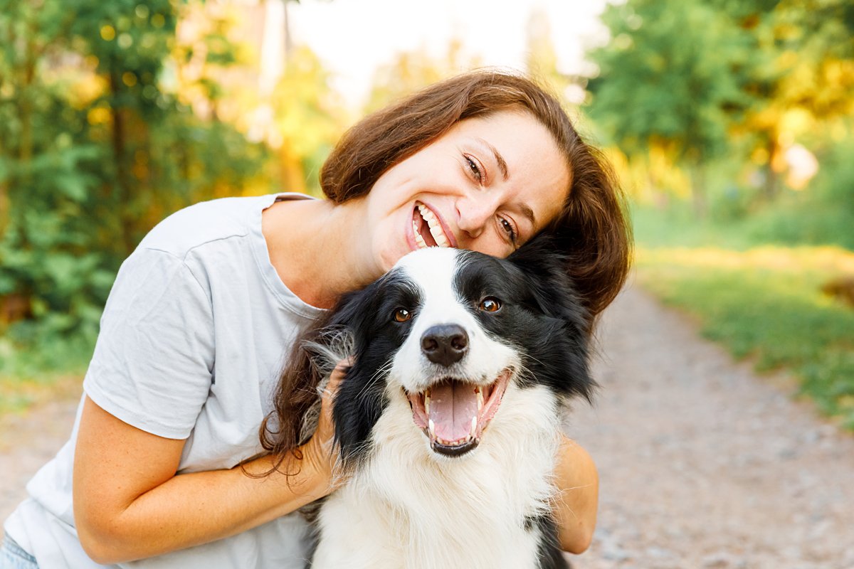 szeret gazda border collie