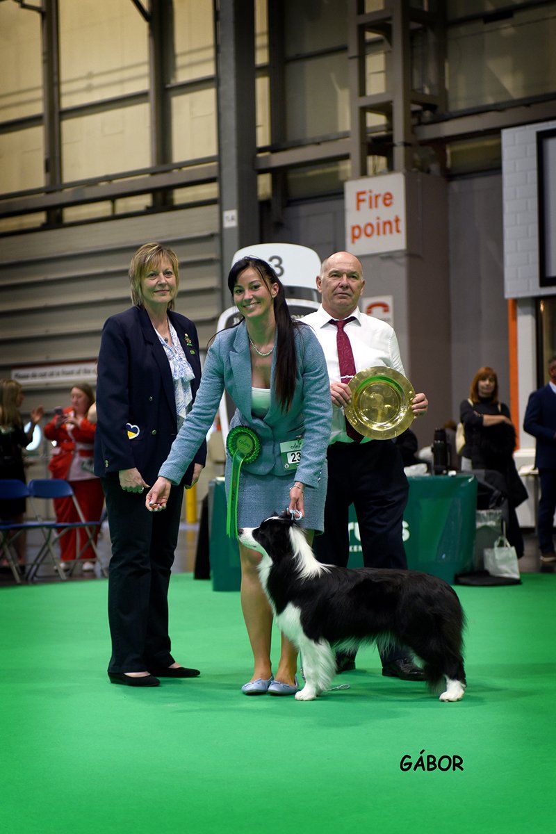 7. fotó_Lenor_fotós_Szalánczi Gábor
