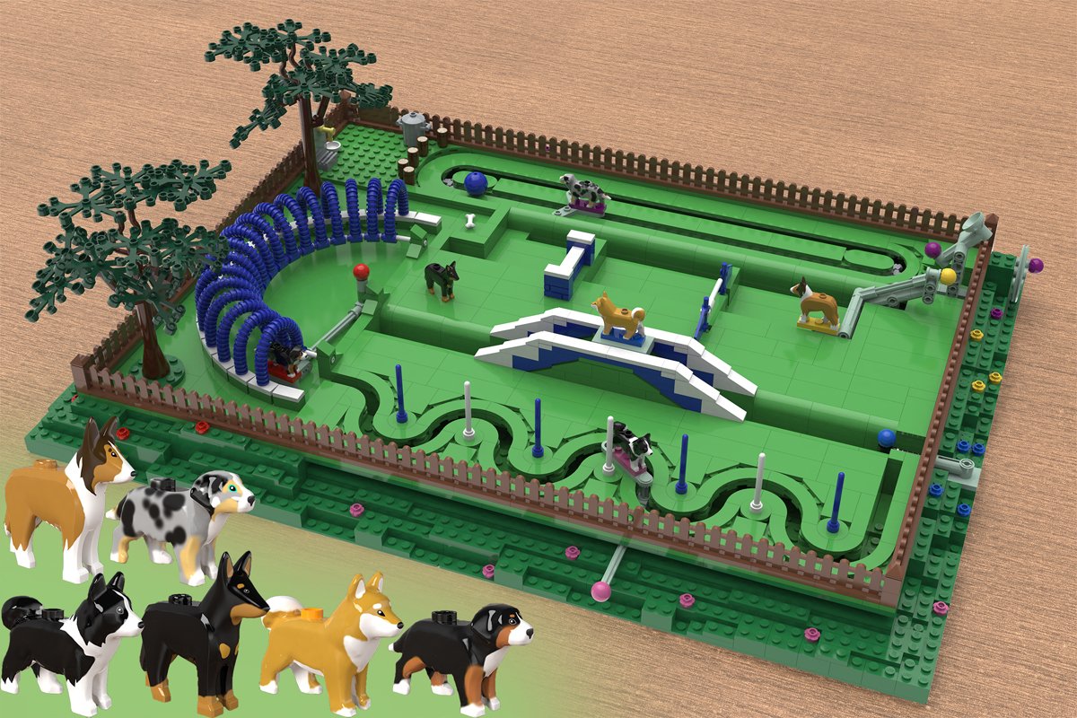 Dog_run_1