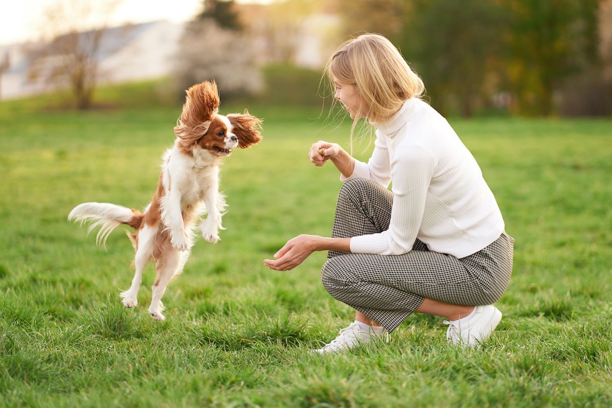 Portrait of beautiful young woman in nature with dog