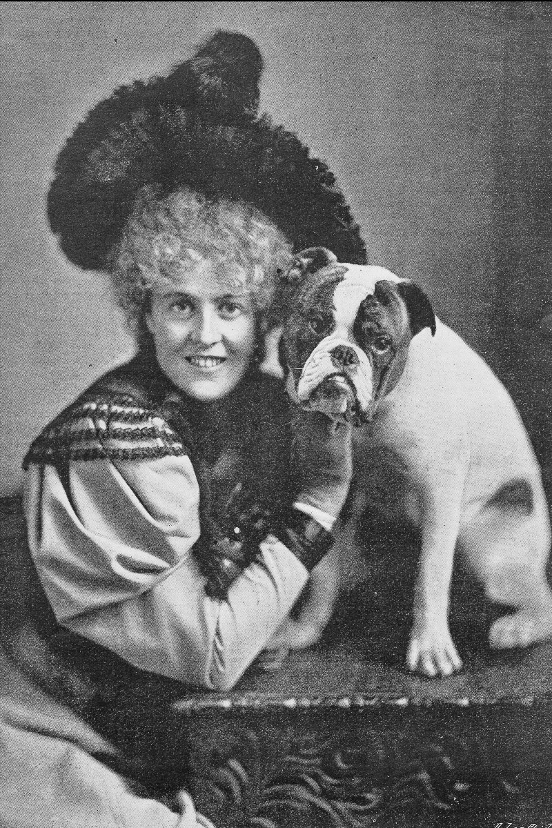 viktoriánus bulldog