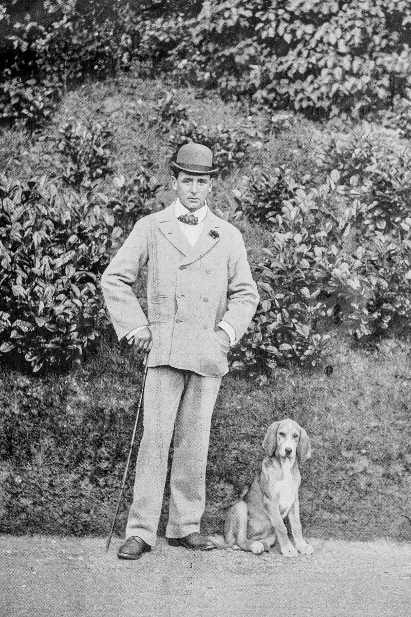 viktoriánus beagle