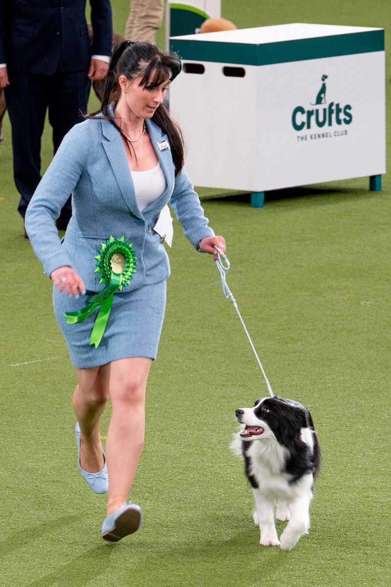 Crufts 2022 sólyom tímea