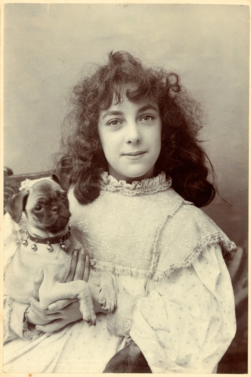 viktoriánus mopsz