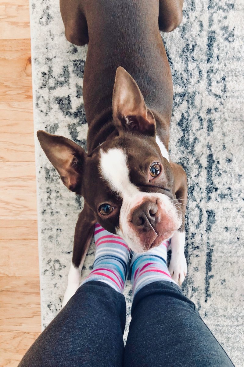 eyes