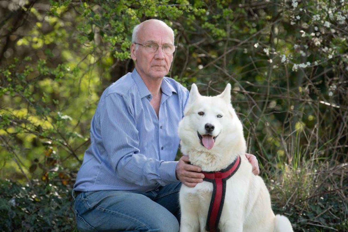 Hel husky hős életmentő újszülött