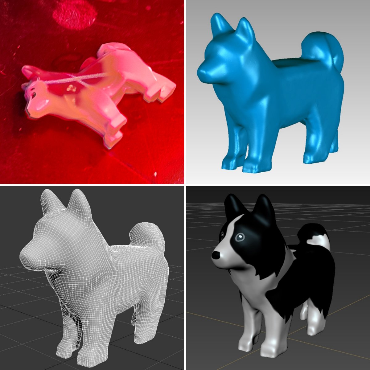 husky_scan