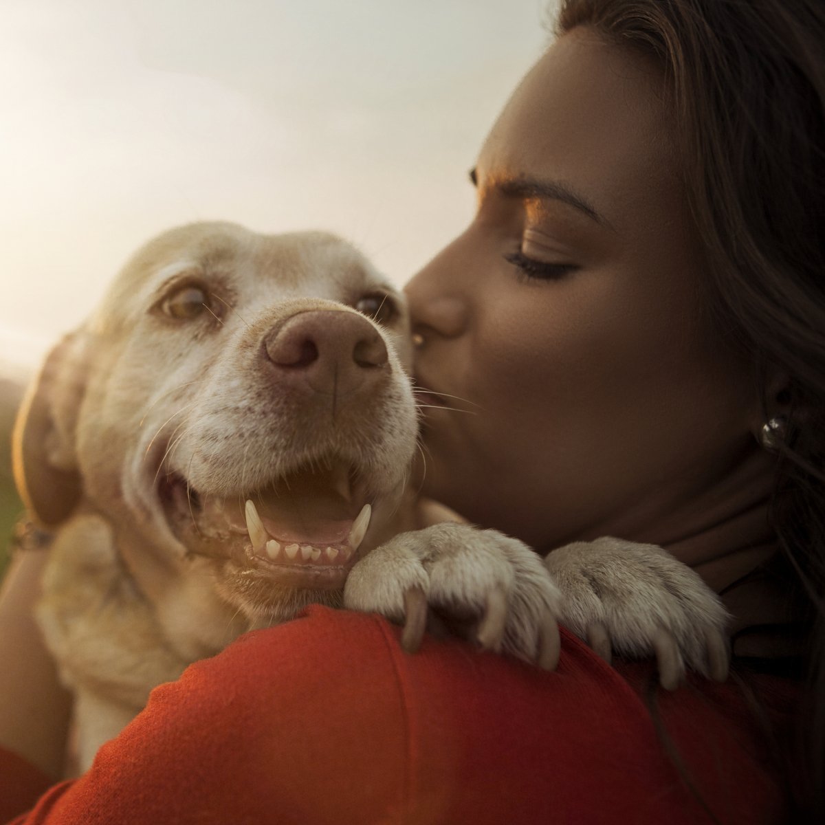 Young woman with her Labrador dog