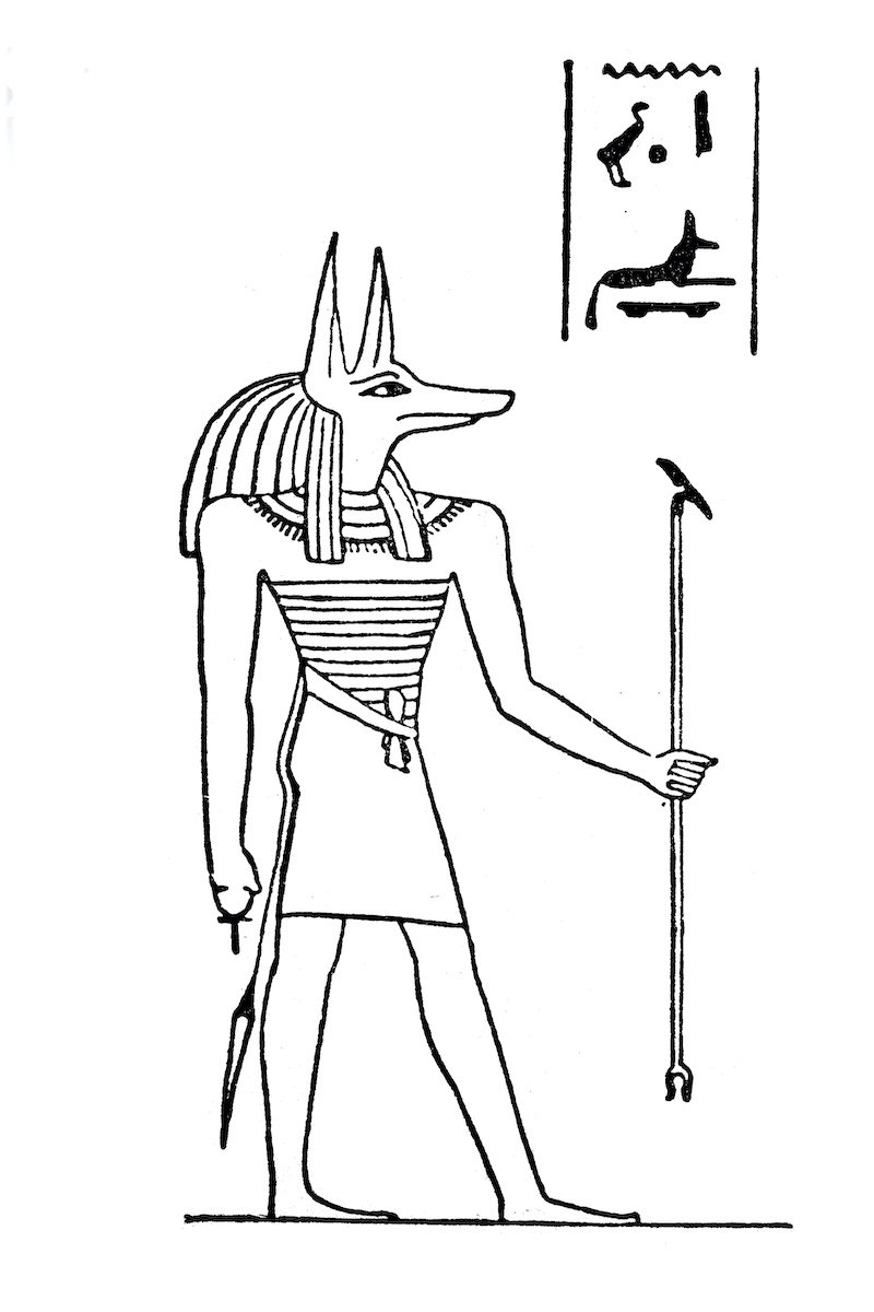 Anubis