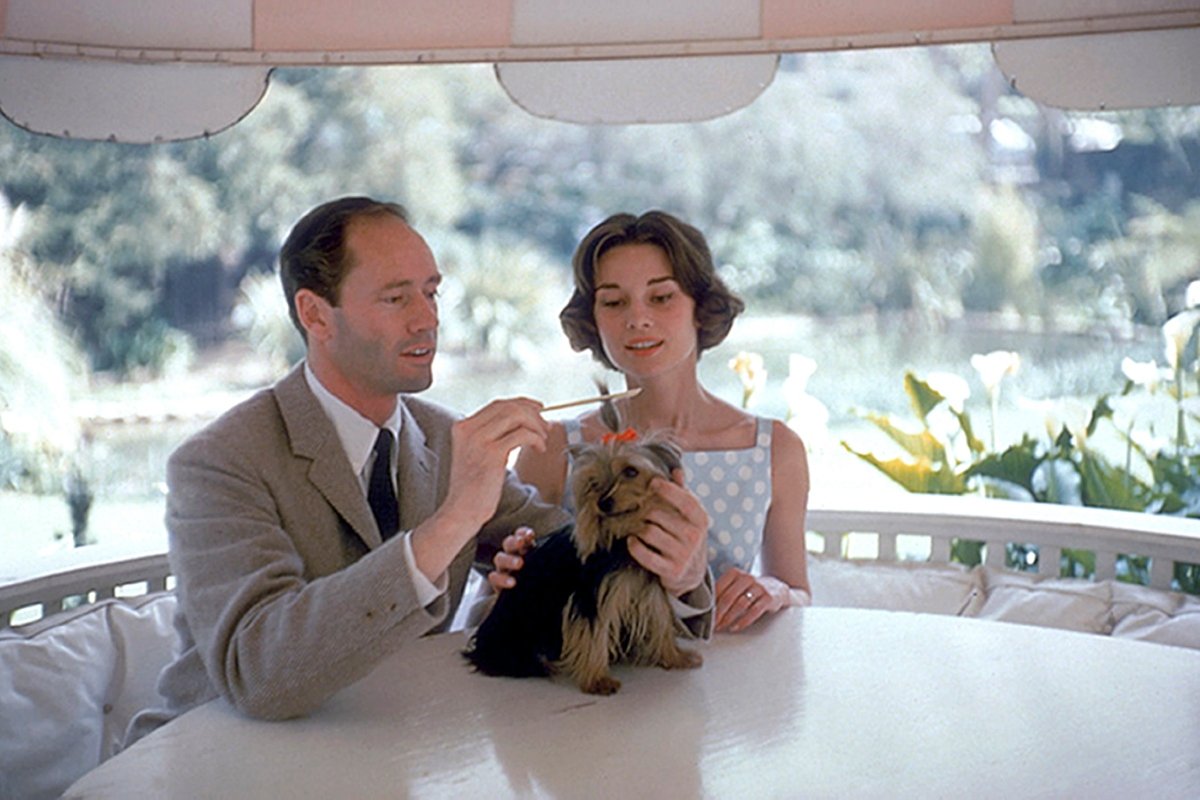 Audrey Hepburn és férje, Mel Ferrer yorkshire terrierükkel