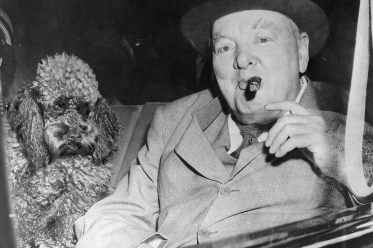 Churchill és szeretett uszkárja