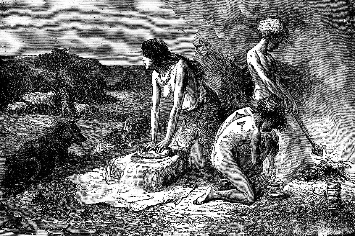 neandervölgyi ősember homo sapiens háziasítás