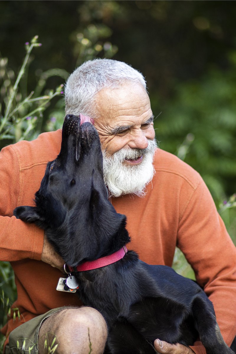 labrador szeret idős öreg nyal puszi