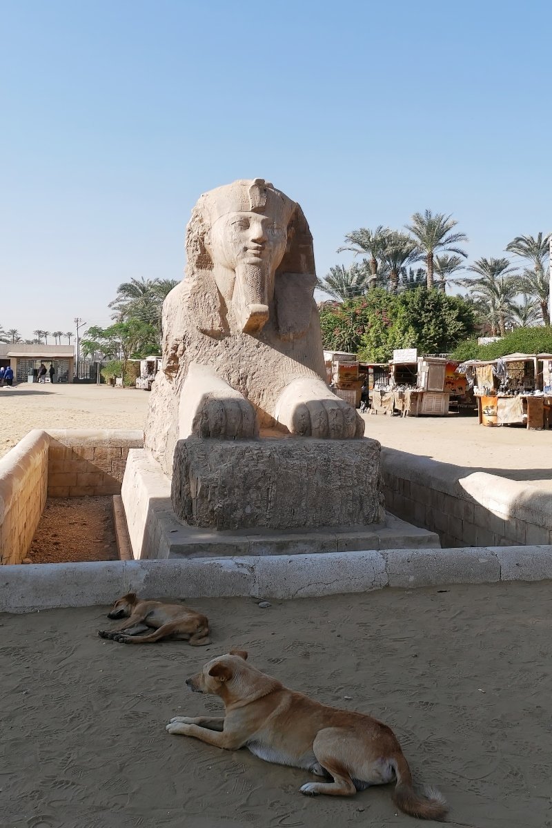 egyiptom kutya piramis történelem
