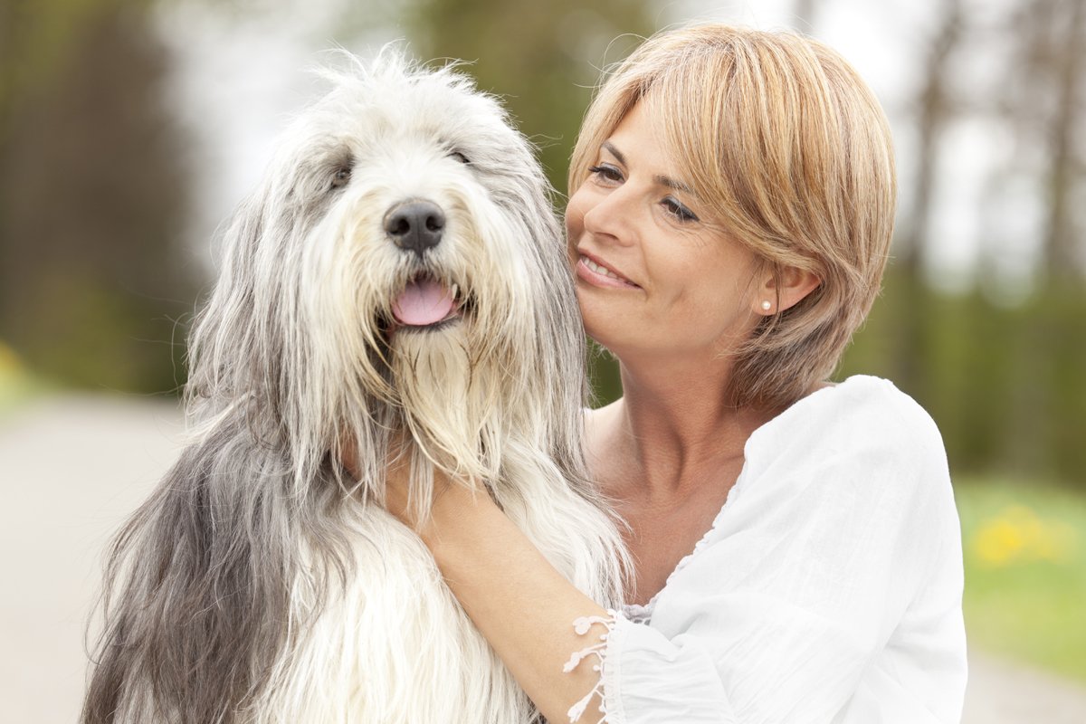 idős gazda szeret ölel bearded szakállas collie