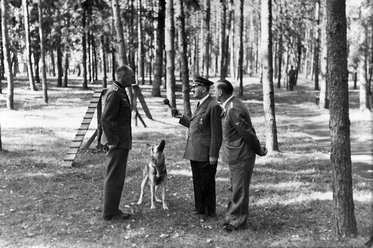 Hitler egy német juhászkutyával