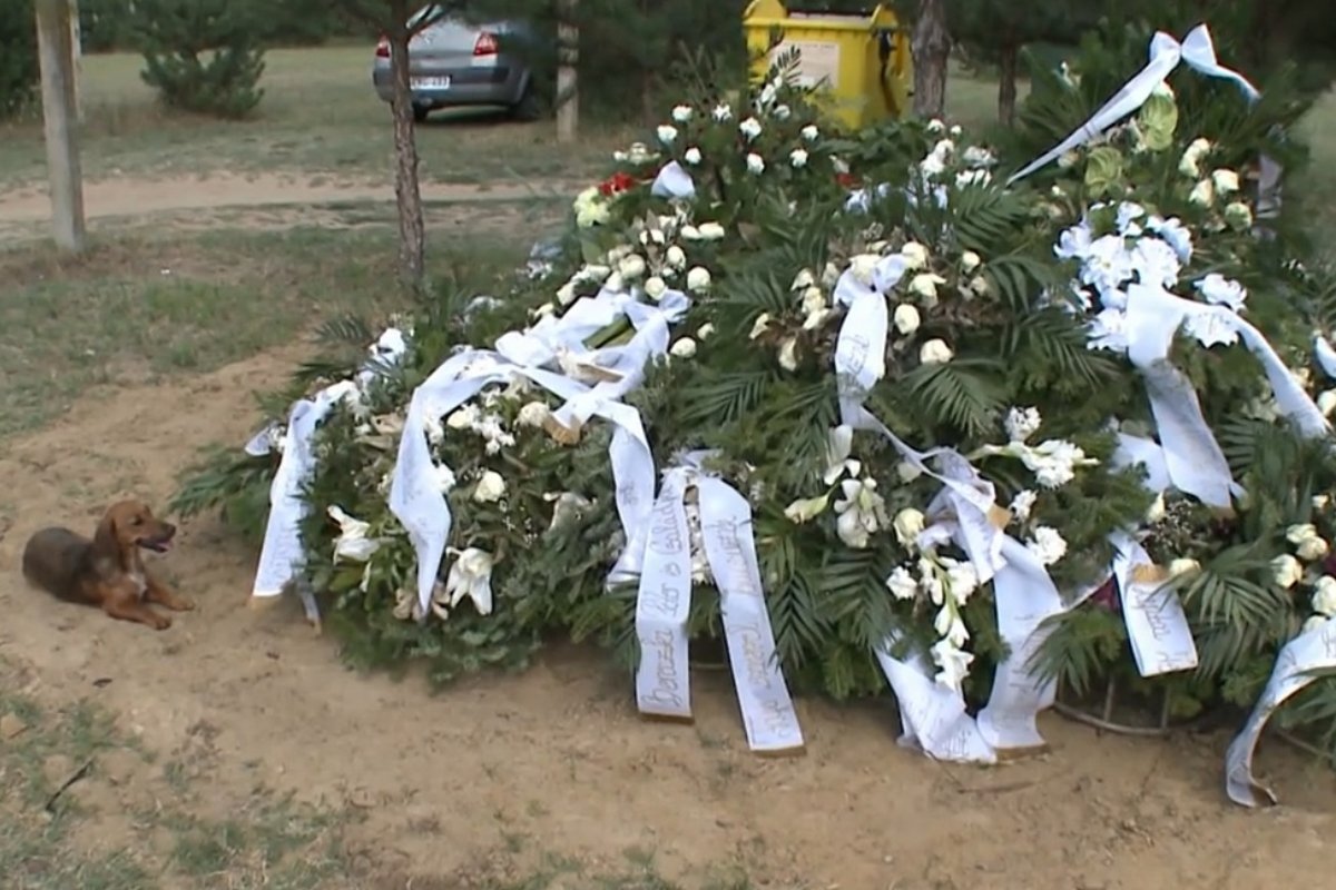 gyászoló kutya Vámospércsi (1)
