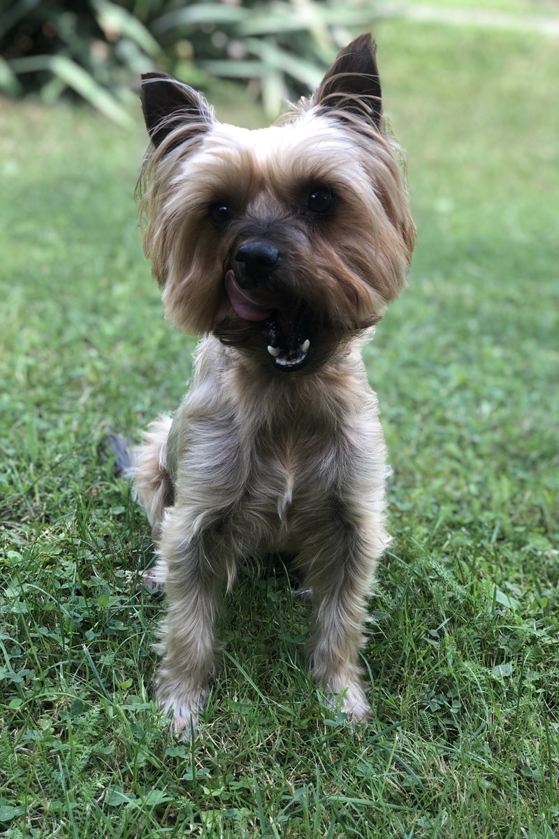 Lola