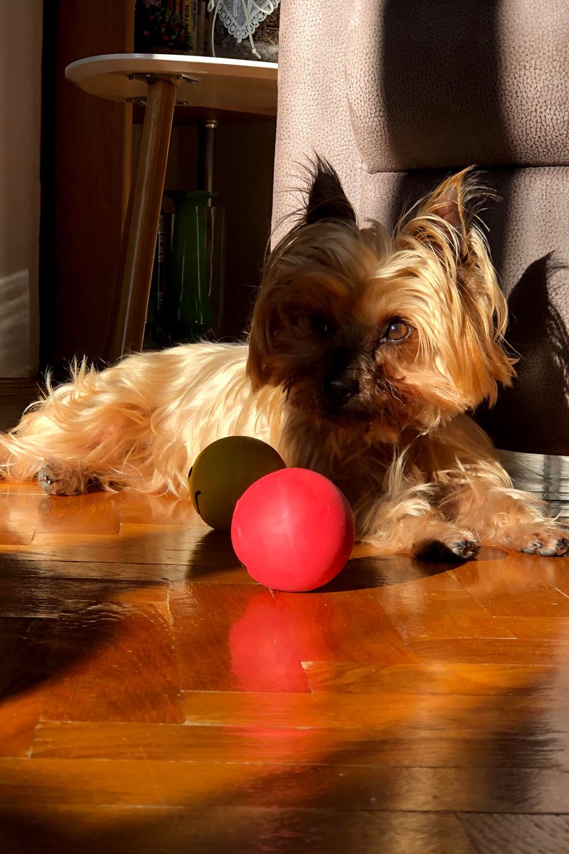 Lola