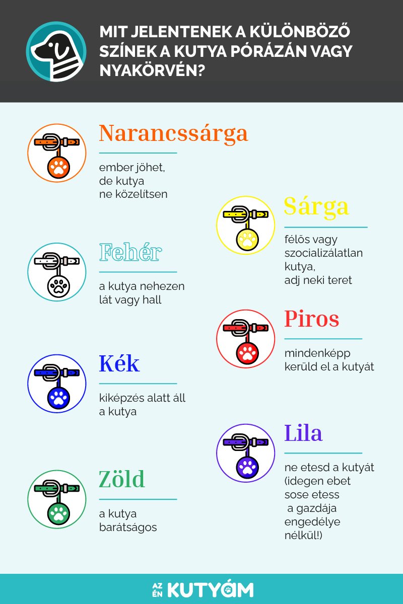 Mit jelentenek a különböző színek a kutya pórázán vagy nyakörvén_