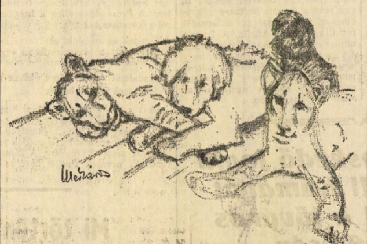 oroszlan kutya