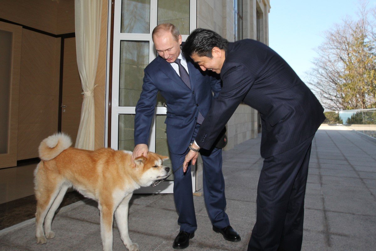 putyin akita inu