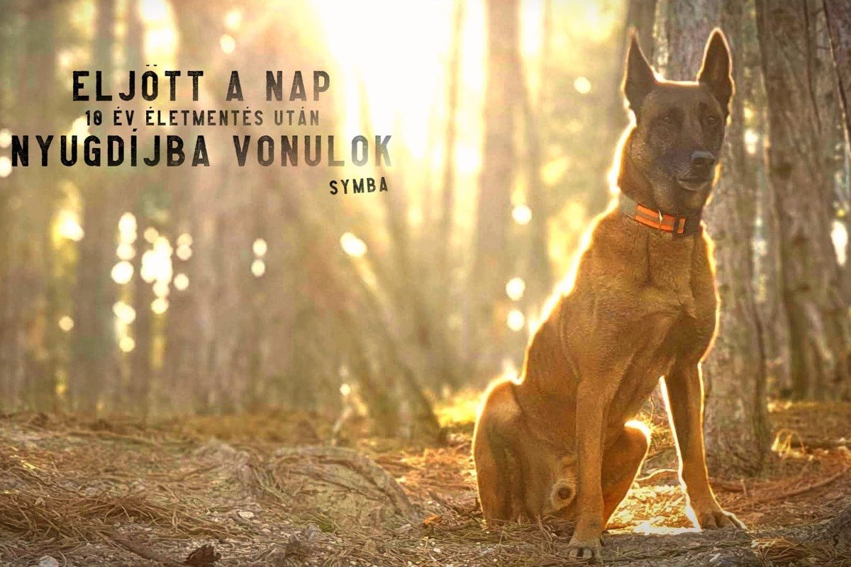 symba nyugdij